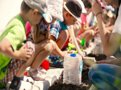 Молодежь «ЕвроХим-ВолгаКалия» помогает юным агрономам