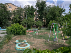 К обновлению Сурского сквера в Волгограде привлекли мировую знаменитость