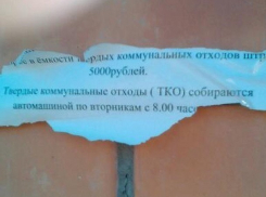 Под Волгоградом за вынос мусора не во вторник жителей наказывают крупным штрафом