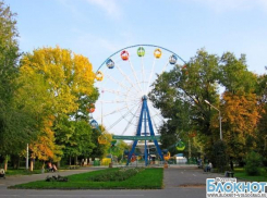 В горсаду Волгограда 5-летняя девочка получила травму позвоночника