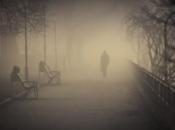 На 900 человек сократилось население Волгоградской области за один месяц