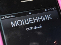 Волгоградскому студенту выдали за Samsung Galaxy S8+ коробку с батарейками и железной пилкой