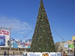 В Волгограде главную елку города откроют Елена Исинбаева и Татьяна Лебедева