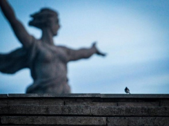 Самый популярный вопрос среди волгоградцев – сколько сейчас время