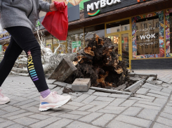 «Агрессия перегретого сухого воздуха»: волгоградский климатолог о шторме от Гидрометцентра