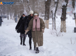 27 января в Волгограде синоптики обещают слабый мороз и небольшой снег