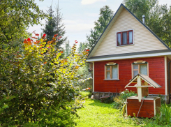 «Умная дача»: как прокачать свой огород при помощи гаджетов