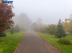 Волгоградцы прочувствуют на себе дыхание Арктики