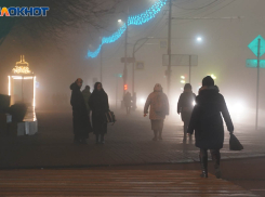 В Волгоградской области зафиксировали низкую конкуренцию за рабочие места 