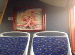 Волгоградцы сфотографировали картину в автобусе