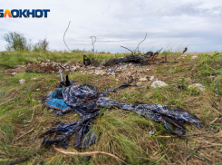 «Ударом лопаты снаряд взорвать нельзя»: подрывник о погибших поисковиках под Волгоградом