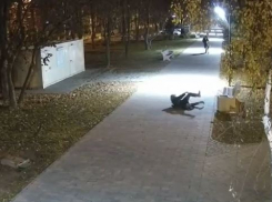 Сломали саженцы и систему полива: двое молодчиков разгромили сквер под Волгоградом 