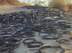 Кладбище из сотен шин нашли на берегу Волги под Волгоградом