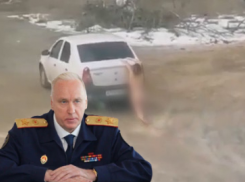На видео с голой волгоградкой на багажнике отреагировал Бастрыкин