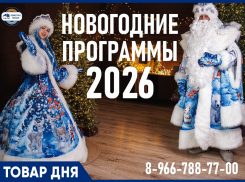 Новогоднее приключение с квестами и интерактивами.  2000 руб/чел.