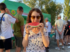 Гиганты бахчи, парад и жара: в Камышине бесплатно накормили тоннами арбузов