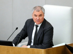 Володин напомнил Германии о неусвоенных уроках разгрома под Сталинградом