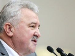 Брянского политика оставят в Госдуме от Волгоградской области