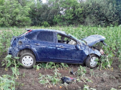На трассе М6 под Волгоградом 44-летний мужчина перевернулся на Ford Focus