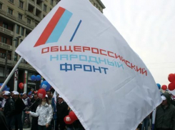 Депутат Госдумы прокомментировала задержание учредителя ОНФ в Волгограде