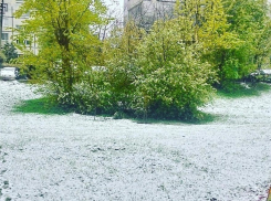 «Коктейль» из мокрого снега и +2°С обещают сегодня волгоградцам синоптики