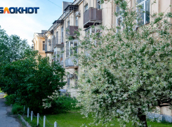Решилась судьба жильцов дома по улице Мира, 13 в Волгограде