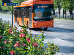 Свободную работу маршруток и автобусов с 29 июня разрешили в Волгограде