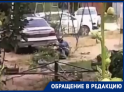 «Рабочий в умате валяется с ветками»: странный опил сняли на видео в Волгограде
