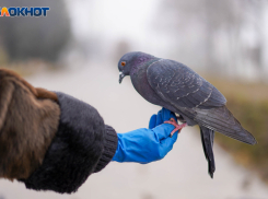 Дождь и геомагнитная буря накроют Волгоградскую область 11 февраля