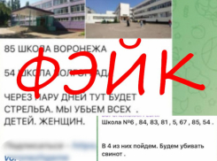 Угрозы о стрельбе в волгоградской школе распространили в соцсетях