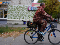 Грибную погоду и потепление пообещали синоптики волгоградцам на внеплановых каникулах в ноябре