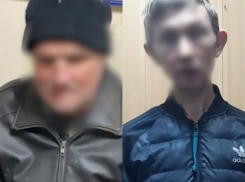 Волгоградцы срезали на продажу металл с братской могилы: видео 