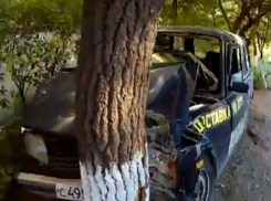 На юге Волгограда в столкновении «Жигулей» с деревом пострадали мужчина и ребенок