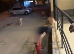 Волгоградка показала все интимные места на улице и попала на видео