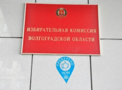 Эксперты Национального общественного мониторинга проверили работу волгоградского облизбиркома