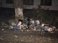 В огромную помойку превратили дворы на юге Волгограда