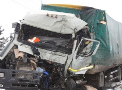 При столкновении двух грузовиков под Волгоградом пострадал водитель из Ростовской области