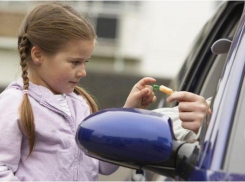 Жители Волгограда предупреждают друг друга в социальных сетях о банде транзитных педофилов