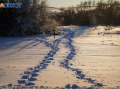 Статистику исчезновений людей назвали в Волгограде