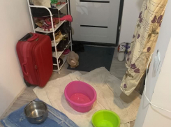 Выживать с кастрюлями приходится волгоградской семье после капремонта