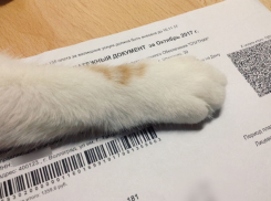 С 1 июля волгоградцам придется больше платить за коммуналку 