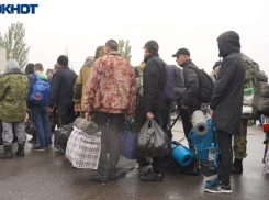 Волгоградским педагогам разрешили вручать повестки мобилизованным