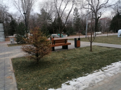 Скамейки для пыток и газон-пазл: волгоградцы оценили первые итоги реконструкции Горсада