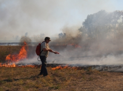 В Серафимовическом районе 224 человека и два вертолета никак не могут справиться с огнем