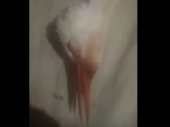 Об отравлении птиц сообщили волонтеры волгоградского приюта 