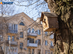 В Волгоградской области потеплеет до 18 градусов 