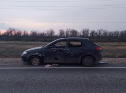 Под Волгоградом иномарка попала под фуру: пострадали мужчина и девочка
