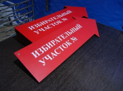 В Волгограде сокращается поголовье избирателей