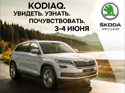 Новый ŠKODA KODIAQ-особая порода внедорожников! 