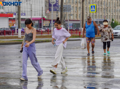Волгоградцы не оценили транспортную доступность города даже на «двойку»